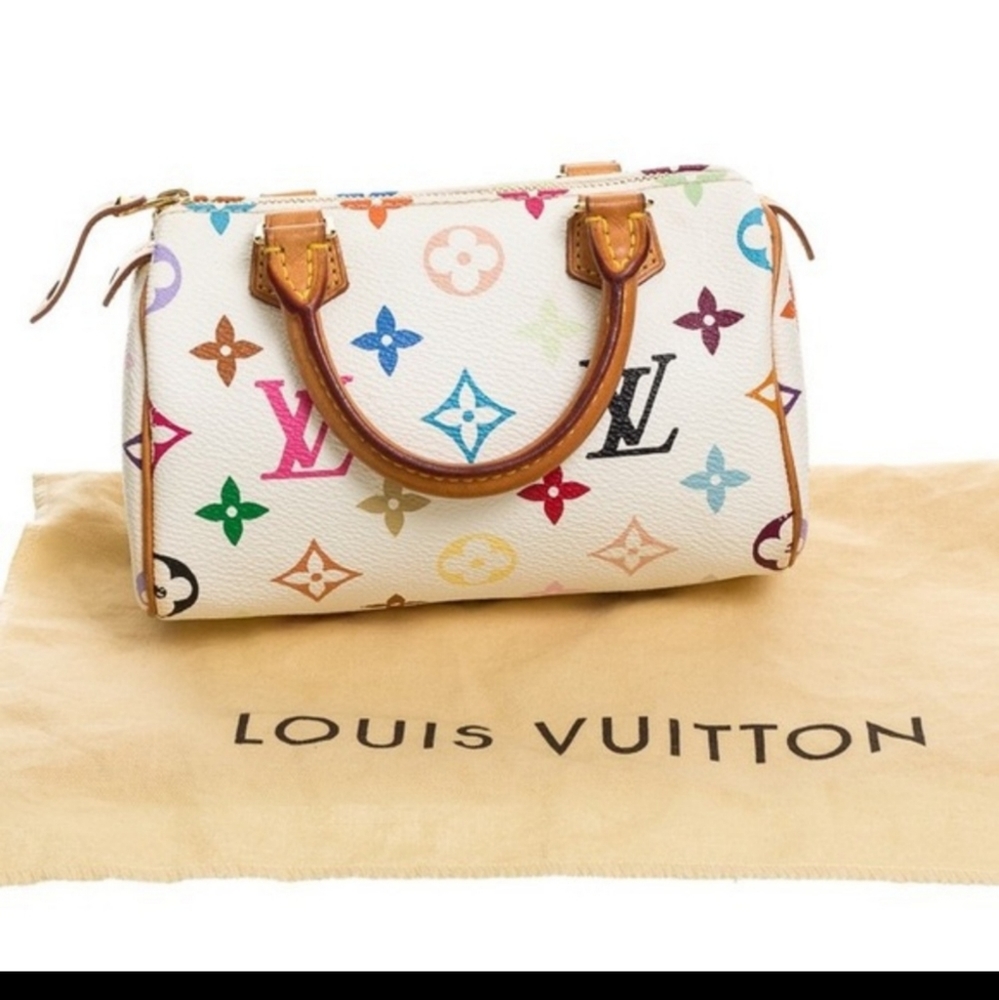 Louis vuitton mini purse